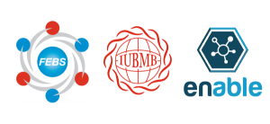 Enable network