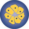 molecular oncology