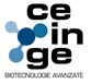 Ceinge